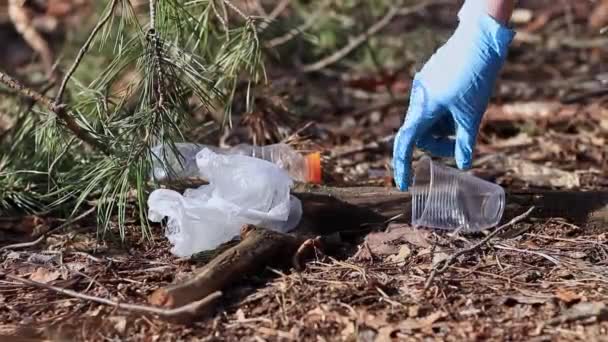 Preocupo Com Natureza Voluntário Recolhe Lixo Saco Lixo Conceito Planeta — Vídeo de Stock