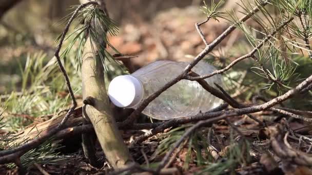 Ręka Wyciąga Plastikową Butelkę Gałęzi — Wideo stockowe