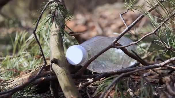 Une Main Gantée Sort Une Bouteille Plastique Des Branches — Video
