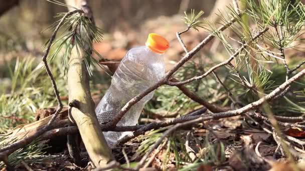Plastic Bottle Forest Nature Pollution — Stock Video