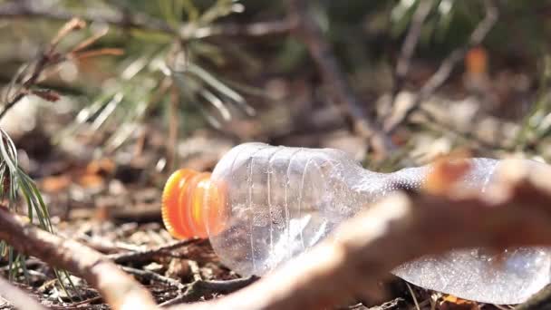 Κορίτσι Παίρνει Ένα Πλαστικό Μπουκάλι Συλλογή Σκουπιδιών Στο Δάσος — Αρχείο Βίντεο