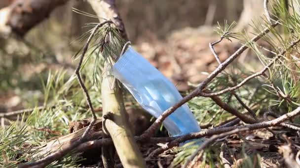 自然が気になる ボランティアがゴミを集める — ストック動画