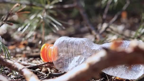 Kız Plastik Bir Şişe Alır Ormanda Çöp Toplar — Stok video