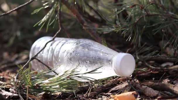 一只戴着手套的手从地上的树枝上拿出一个塑料瓶 — 图库视频影像