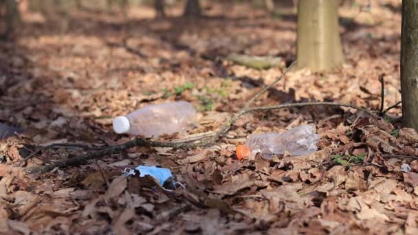 Müllabfuhr Wald Freiwilligenprogramm — Stockvideo