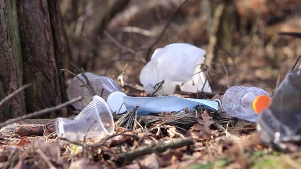 Recogida Basura Bosque Programa Voluntariado — Vídeos de Stock