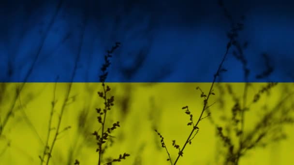 Drapeau Ukraine Superposé Paysage Hivernal — Video