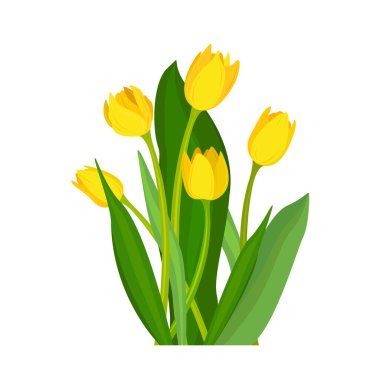 Sarı lale buketi. Çiçekler.