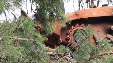 Ukrayna, Dmytrivka, Kyiv Oblastı - 04.26.2022: Yol kenarındaki ormanın kenarında yanmış Rus piyade aracı. Rusya 'nın Ukrayna' yı işgalinin sonuçları 2022. 