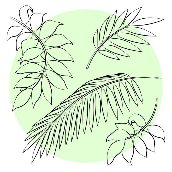 Set Tropical Leaves Contour Vector Drawings Plant Elements Create Your — Stock vektor