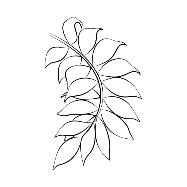 Umrisszeichnung Eines Zweiges Mit Blättern — Stockvektor