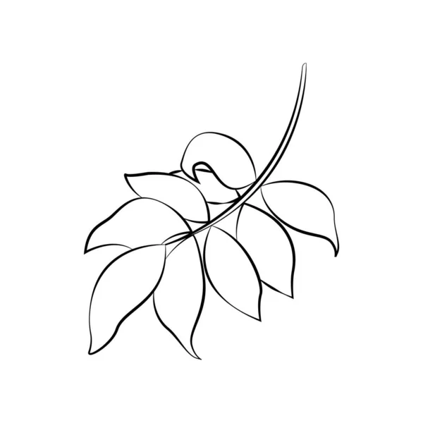 Umrisszeichnung Eines Zweiges Mit Blättern — Stockvektor