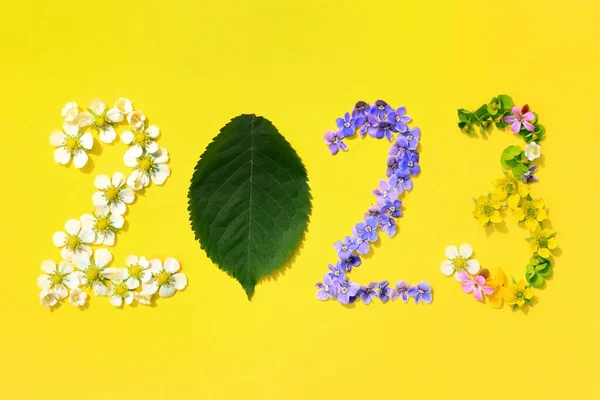 2023 Számok Virágokból Levelekből Készülnek Élénk Sárga Háttérrel Ünnepi Naptárborító — Stock Fotó
