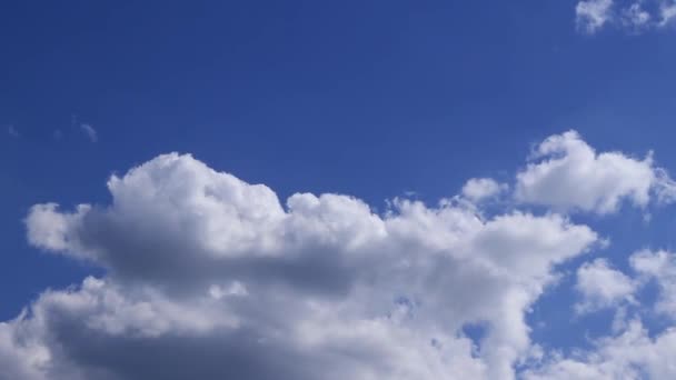 Kék Fehér Felhőkkel Egy Nyári Napon Felhők Lassú Mozgása Égen — Stock videók