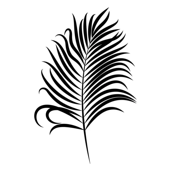 Silhouette Noire Une Feuille Palmier Élément Vectoriel Pour Conception Estivale — Image vectorielle