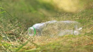 Eldivenli bir el çimlerden plastik bir şişe alır. Yazın ormanda çöp toplama. Çevreyi temizlemek için gönüllü iş