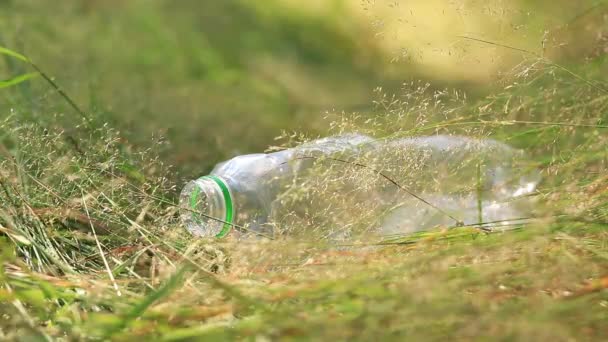 一只戴着手套的手从草地上捡起一个塑料瓶 夏天在森林里收集垃圾 清理环境的志愿工作 — 图库视频影像
