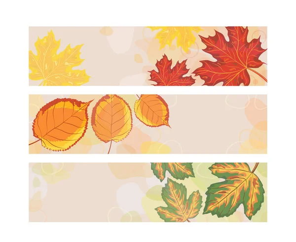 Set Three Colorful Autumn Banners Falling Leaves Vector Illustration — Stock Vector