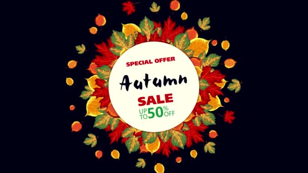 Animation Banner White Circle Autumn Colorful Leaves Black Background Promotion — Wideo stockowe