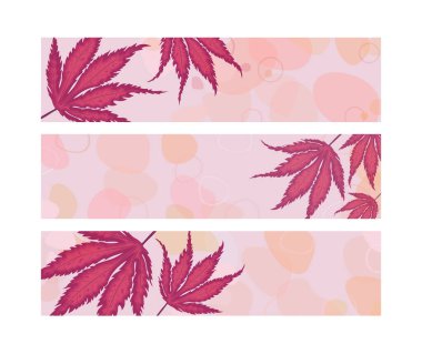 Set of three banners with autumn leaves of red Japanese maple for the site. Vector drawings of autumn