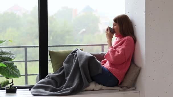雨の日は窓からお茶を飲んでいる女の子 秋の気分 暖かいセーターと居心地の良い雰囲気 窓の近くの毛布の中に座っている思慮深い少女 — ストック動画