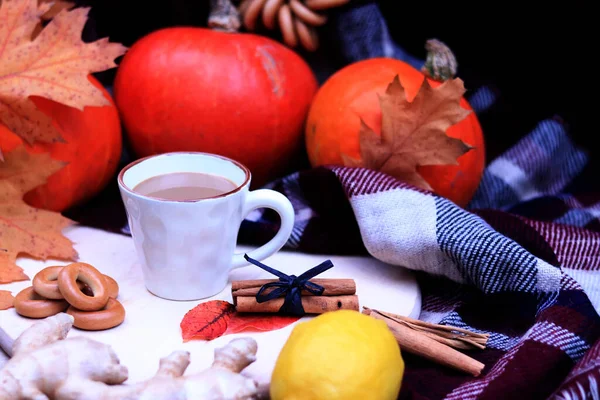 Cup with coffee or cocoa on the background of bright ripe pumpkins. Cozy warm still life. A composition of items that create an autumn mood and atmosphere