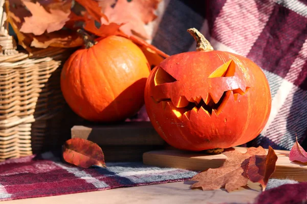 Dynia Wyrzeźbioną Twarzą Halloween Pomarańczowe Dojrzałe Dynie Pobliżu Kosza Jesiennymi — Zdjęcie stockowe