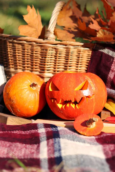 Dynia Halloween Jesienna Kompozycja Dynie Kratę Przy Koszu Jesiennymi Liśćmi — Zdjęcie stockowe