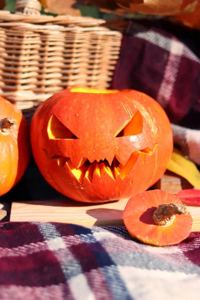 Tökfej Halloweenre Őszi Kompozíció Tökfejek Egy Kockás Kosárban Őszi Levelekkel — Stock Fotó