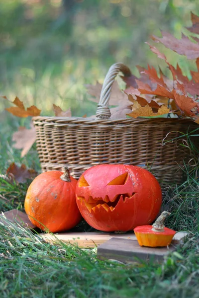 Abóbora Halloween Composição Outono Natureza Abóboras Grama Perto Cesta Com — Fotografia de Stock