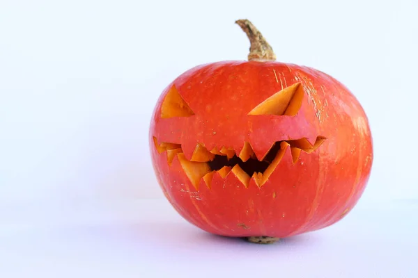 Halloween Dýně Izolované Bílém Pozadí Zralé Oranžové Dýně Halloween Světlém — Stock fotografie