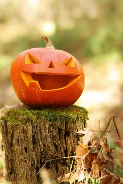 Halloween Straszna Dynia Jednym Zębem Jesiennym Lesie Dynia Wyrzeźbioną Uśmiechniętą — Zdjęcie stockowe