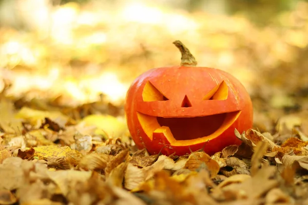 Halloween Straszne Uśmiechnięta Dynia Jesiennym Lesie Dynia Rzeźbioną Twarzą Leży — Zdjęcie stockowe