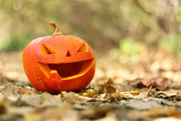Halloween Ijesztő Mosolygós Tök Őszi Erdőben Egy Faragott Arcú Tök — Stock Fotó