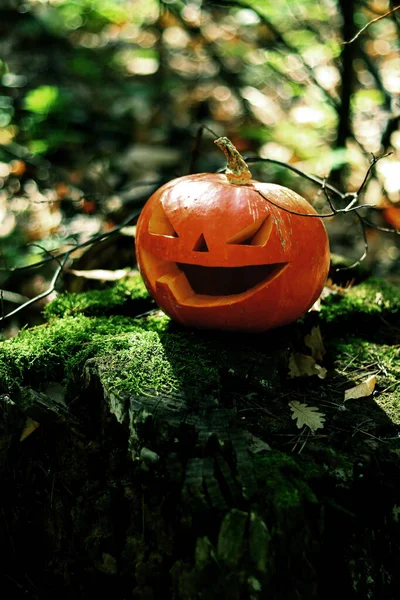 Halloween Straszna Dynia Jesiennym Lesie Dynia Wyrzeźbioną Uśmiechniętą Twarzą Stoi — Zdjęcie stockowe
