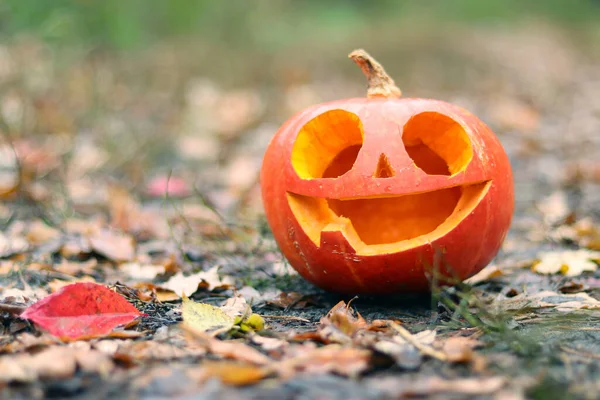 Halloween Uśmiechnięta Dynia Ogromnymi Oczami Jesiennym Lesie Dynia Uroczej Twarzy — Zdjęcie stockowe