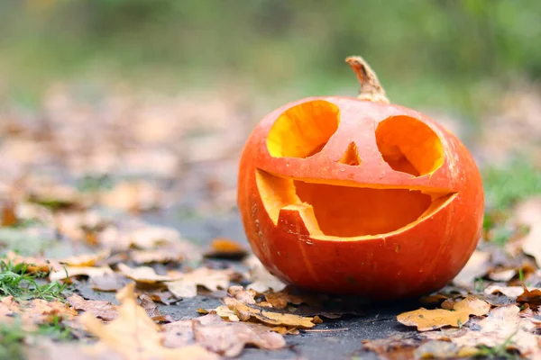 Halloween Usměvavá Dýně Velkýma Očima Podzimním Lese Dýně Roztomilou Tvářičkou — Stock fotografie