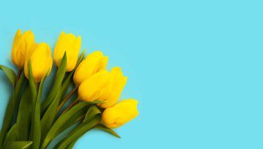 Pankart. Mavi arka planda güzel sarı laleler. Anneler Günü, 8 Mart, Sevgililer Günü, doğum günü kutlaması konsepti. Üst Manzara. İlk metni yerleştir.