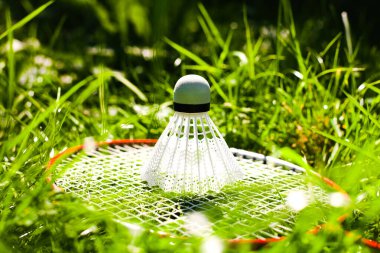 Beyaz mekikli horoz ve badminton raketi yeşil çimlerin üzerinde yatıyor. Parlak yaz güneşli bir gün. Sağlıklı yaşam tarzını kabul et. Fitness konsepti.