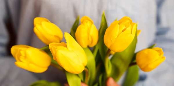 Banner Ženské Ruce Drží Kytici Krásných Žlutých Tulipánů Slavnostní Skladba — Stock fotografie