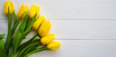 Beyaz ahşap arka planda güzel sarı lalelerle bezenmiş düz bir kompozisyon. Pankart. Tebrik kartı. Üst Manzara. Metnin için yer.