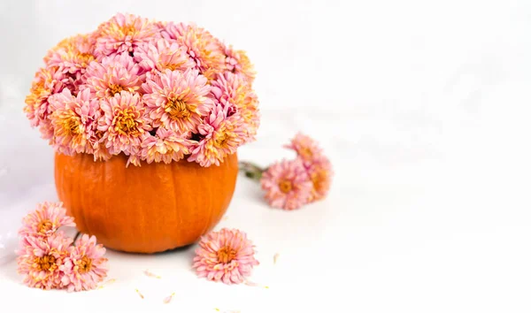 Beautiful Bouquet Chrysanthemums Pumpkin White Table Thanksgiving Celebration Concept Cozy — Stock Photo, Image