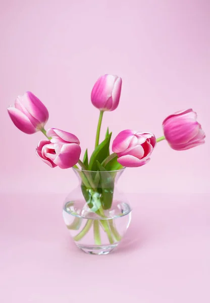 Bukiet Pięknych Różowych Tulipanów Szklanym Wazonie Różowym Tle Wybiórcze Skupienie — Zdjęcie stockowe