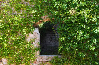 Bitkilerle kaplı eski bir kalenin kalıntıları. Sveti İvan Kalesi. Kotor, Karadağ.