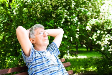 Kıdemli adam güneşli bir günde parkta bir bankta dinlenir. Emeklilikteki hayatın rahatlığı ve keyfi.