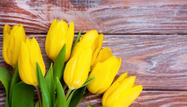 Ahşap arka planda güzel sarı laleler. Pankart. Üst Manzara. Mesaj için yer. Seçici odak.