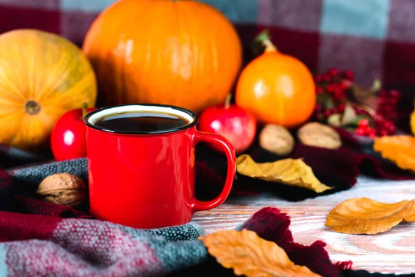 Cup Hot Coffee Warm Checkered Plaid Fall Leaves Pumpkins Background — Stockfoto