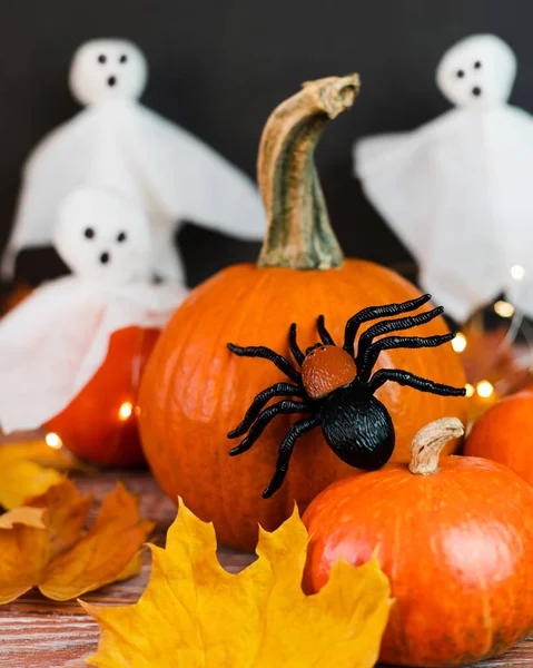 Happy Halloween Pumpkins White Ghosts Spider Festive Halloween Decor Selective — Stockfoto