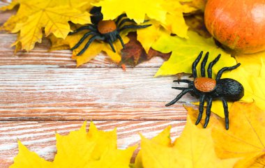 Halloween background with place for text. Autumn leaves with spiders and pumpkin on a wooden background. Halloween decor. Close-up.