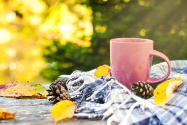 Cup of coffee or tea and checkered plaid on wooden bench in autumn park. Picnic outdoor. Close-up. Place for text.